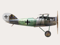 Pfalz D.XII
